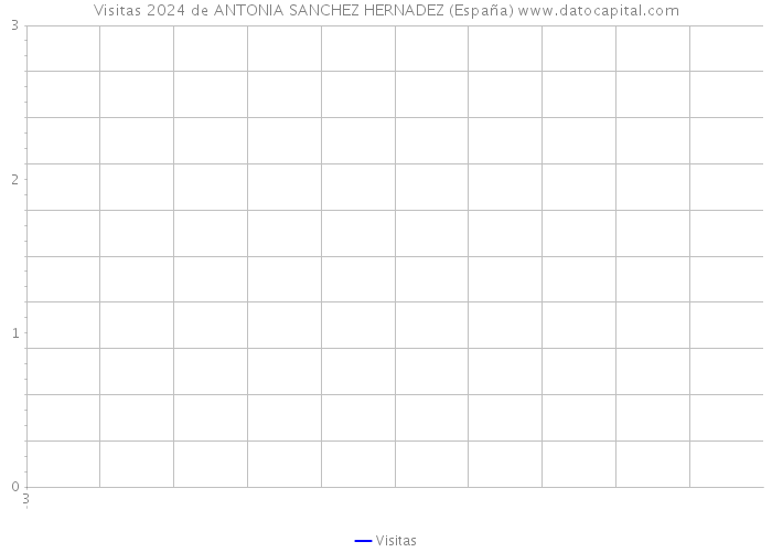 Visitas 2024 de ANTONIA SANCHEZ HERNADEZ (España) 