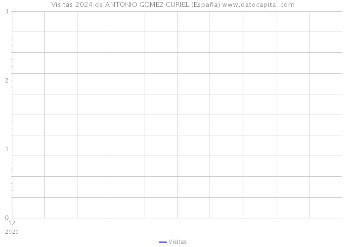 Visitas 2024 de ANTONIO GOMEZ CURIEL (España) 