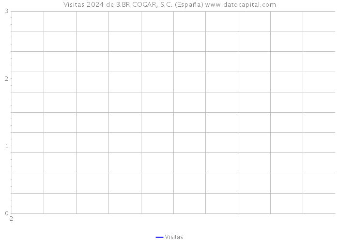 Visitas 2024 de B.BRICOGAR, S.C. (España) 