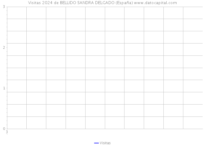 Visitas 2024 de BELLIDO SANDRA DELGADO (España) 