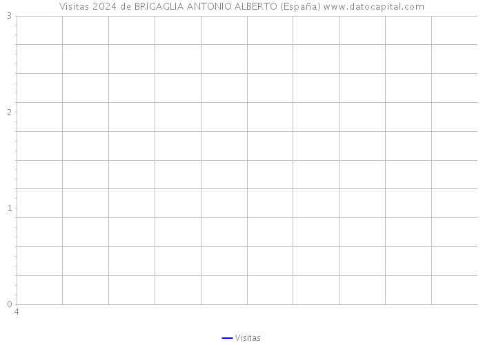 Visitas 2024 de BRIGAGLIA ANTONIO ALBERTO (España) 