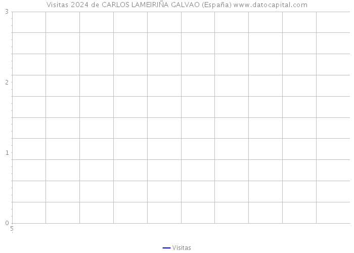 Visitas 2024 de CARLOS LAMEIRIÑA GALVAO (España) 