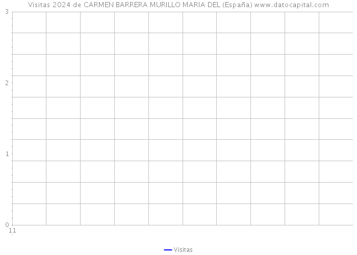 Visitas 2024 de CARMEN BARRERA MURILLO MARIA DEL (España) 