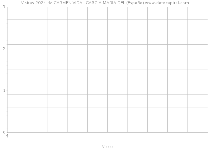 Visitas 2024 de CARMEN VIDAL GARCIA MARIA DEL (España) 