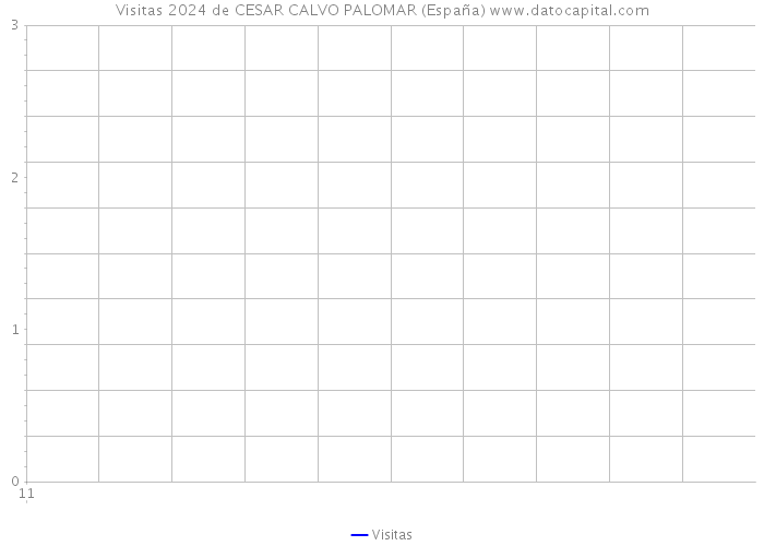 Visitas 2024 de CESAR CALVO PALOMAR (España) 
