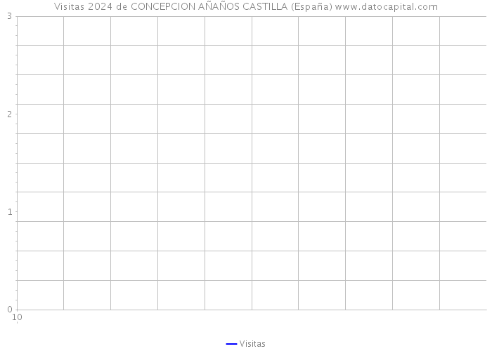 Visitas 2024 de CONCEPCION AÑAÑOS CASTILLA (España) 