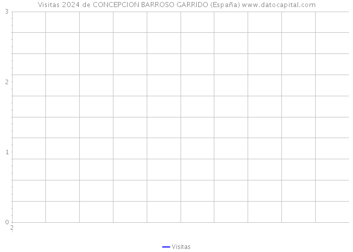 Visitas 2024 de CONCEPCION BARROSO GARRIDO (España) 