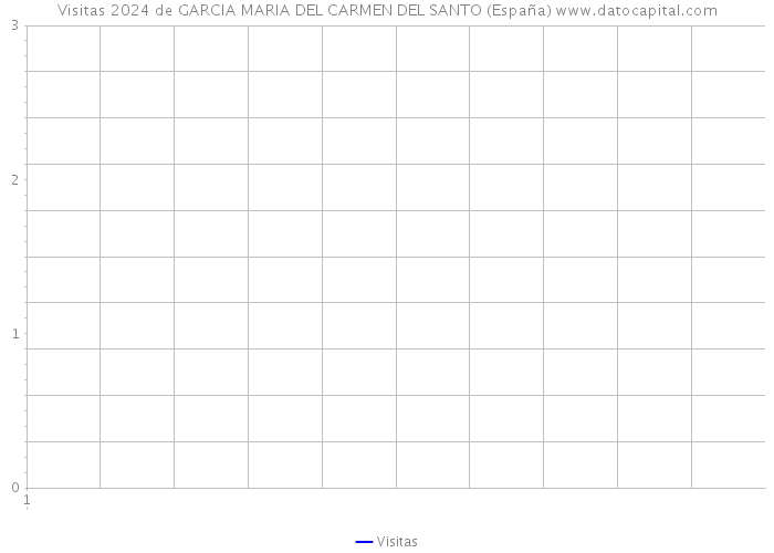 Visitas 2024 de GARCIA MARIA DEL CARMEN DEL SANTO (España) 