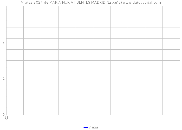 Visitas 2024 de MARIA NURIA FUENTES MADRID (España) 