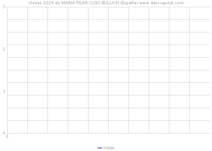 Visitas 2024 de MARIA PILAR CUSO BULLICH (España) 