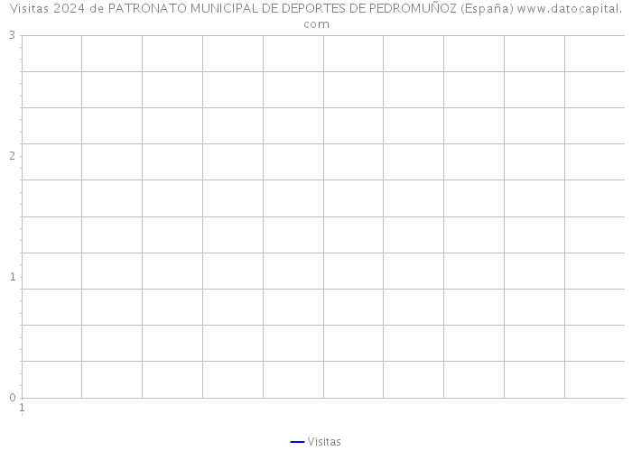 Visitas 2024 de PATRONATO MUNICIPAL DE DEPORTES DE PEDROMUÑOZ (España) 