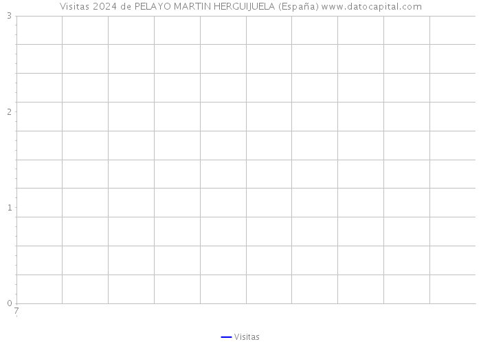 Visitas 2024 de PELAYO MARTIN HERGUIJUELA (España) 