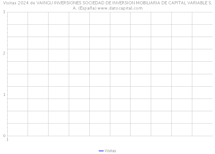 Visitas 2024 de VAINGU INVERSIONES SOCIEDAD DE INVERSION MOBILIARIA DE CAPITAL VARIABLE S.A. (España) 