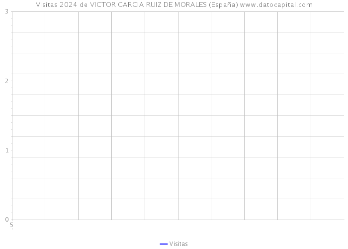 Visitas 2024 de VICTOR GARCIA RUIZ DE MORALES (España) 
