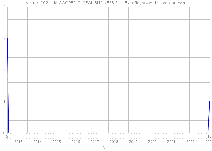 Visitas 2024 de COOPER GLOBAL BUSINESS S.L. (España) 