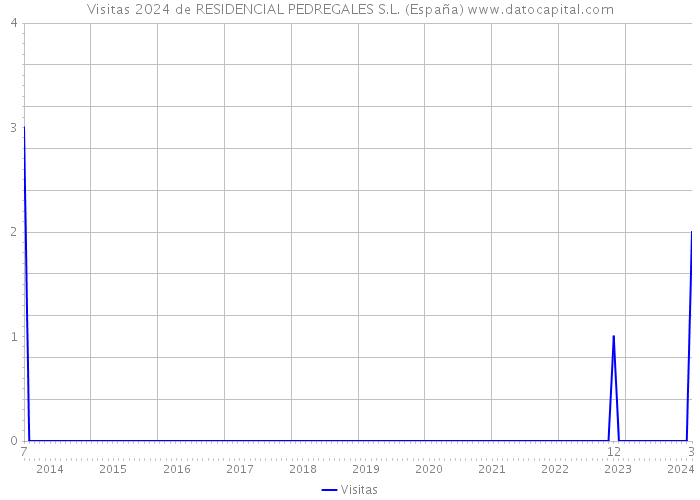 Visitas 2024 de RESIDENCIAL PEDREGALES S.L. (España) 