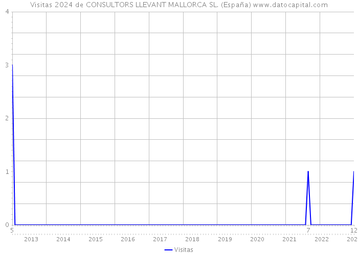 Visitas 2024 de CONSULTORS LLEVANT MALLORCA SL. (España) 