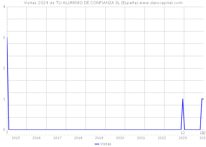 Visitas 2024 de TU ALUMINIO DE CONFIANZA SL (España) 