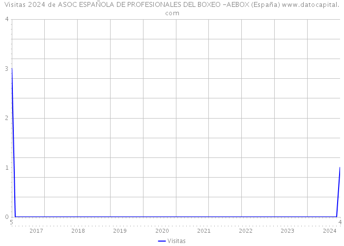 Visitas 2024 de ASOC ESPAÑOLA DE PROFESIONALES DEL BOXEO -AEBOX (España) 