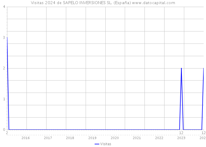 Visitas 2024 de SAPELO INVERSIONES SL. (España) 