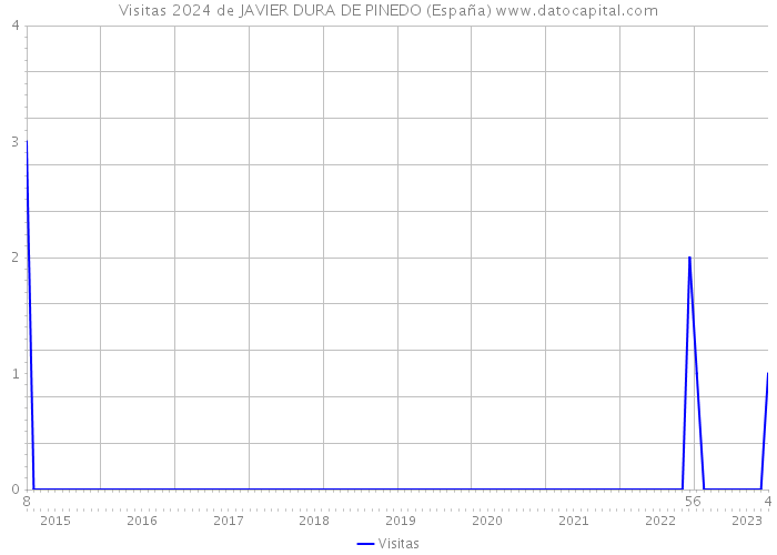 Visitas 2024 de JAVIER DURA DE PINEDO (España) 