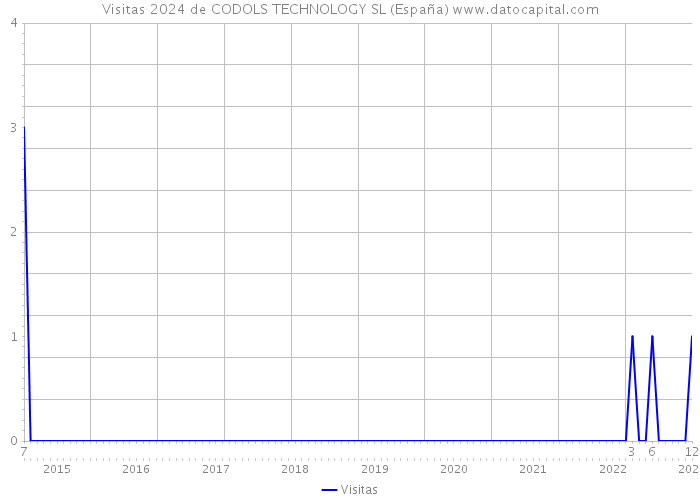 Visitas 2024 de CODOLS TECHNOLOGY SL (España) 