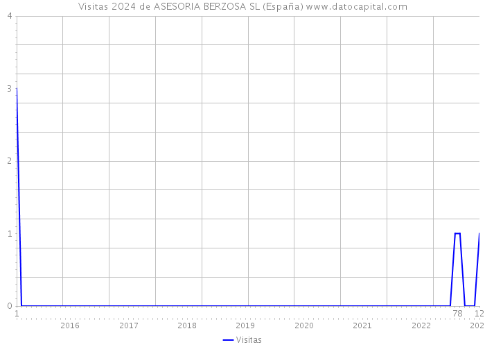 Visitas 2024 de ASESORIA BERZOSA SL (España) 