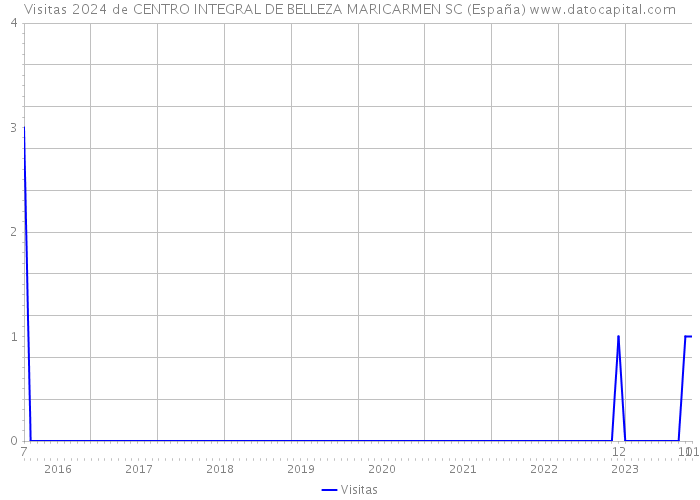 Visitas 2024 de CENTRO INTEGRAL DE BELLEZA MARICARMEN SC (España) 