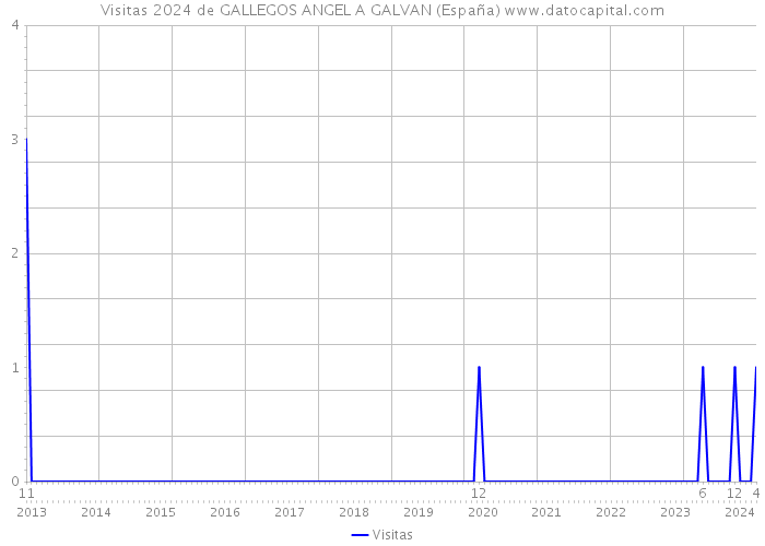 Visitas 2024 de GALLEGOS ANGEL A GALVAN (España) 