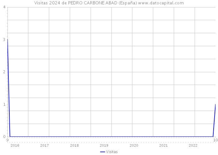 Visitas 2024 de PEDRO CARBONE ABAD (España) 