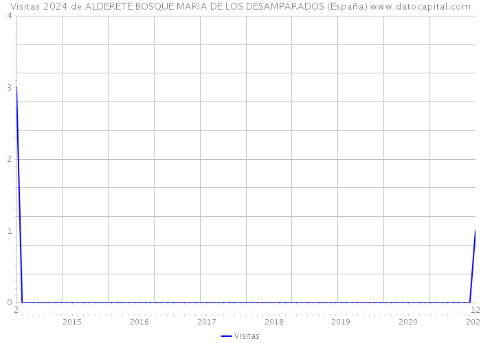 Visitas 2024 de ALDERETE BOSQUE MARIA DE LOS DESAMPARADOS (España) 