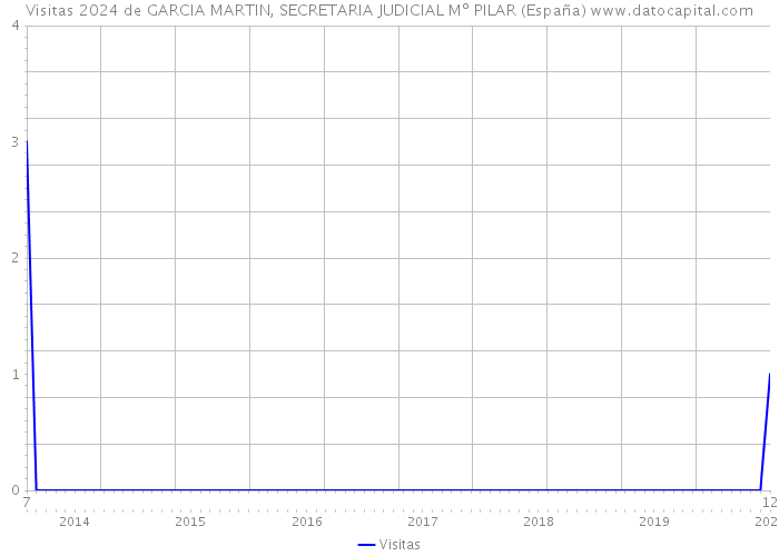 Visitas 2024 de GARCIA MARTIN, SECRETARIA JUDICIAL Mº PILAR (España) 