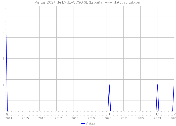 Visitas 2024 de EXGE-COSO SL (España) 