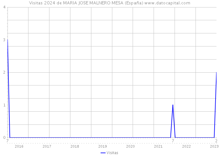 Visitas 2024 de MARIA JOSE MALNERO MESA (España) 