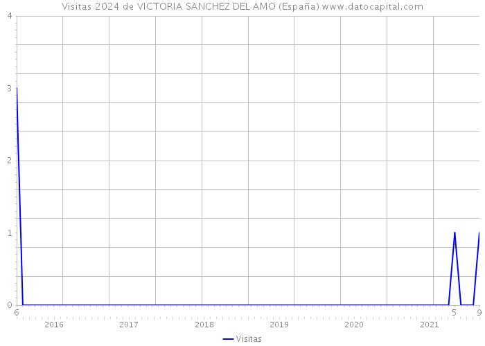 Visitas 2024 de VICTORIA SANCHEZ DEL AMO (España) 