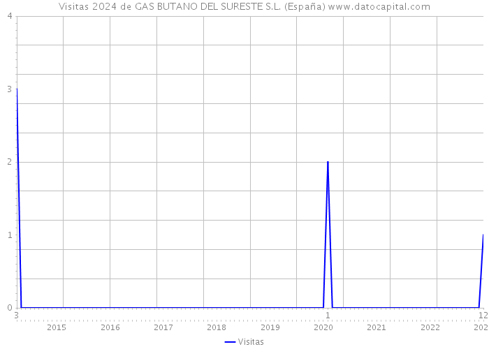 Visitas 2024 de GAS BUTANO DEL SURESTE S.L. (España) 