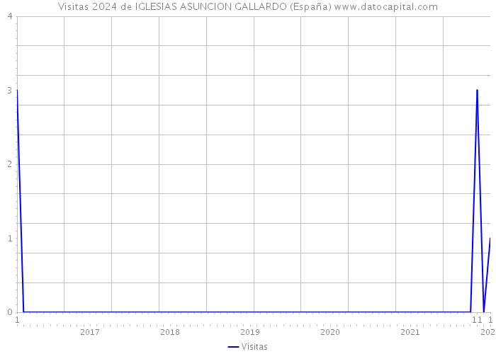 Visitas 2024 de IGLESIAS ASUNCION GALLARDO (España) 