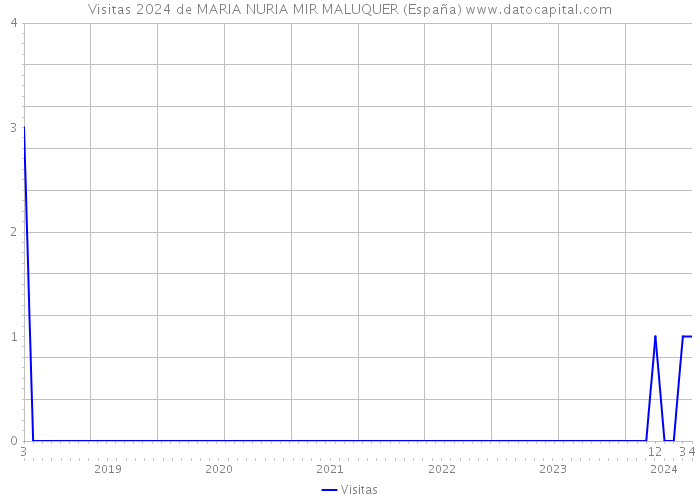 Visitas 2024 de MARIA NURIA MIR MALUQUER (España) 