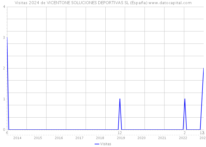 Visitas 2024 de VICENTONE SOLUCIONES DEPORTIVAS SL (España) 