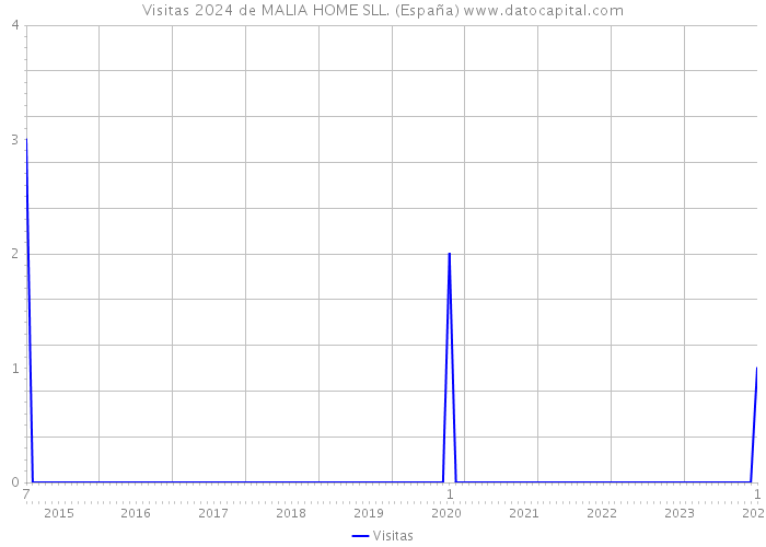 Visitas 2024 de MALIA HOME SLL. (España) 