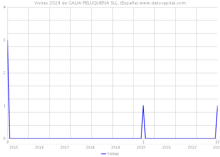 Visitas 2024 de GALIA PELUQUERIA SLL. (España) 