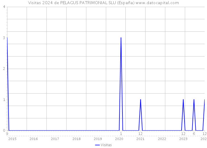 Visitas 2024 de PELAGUS PATRIMONIAL SLU (España) 