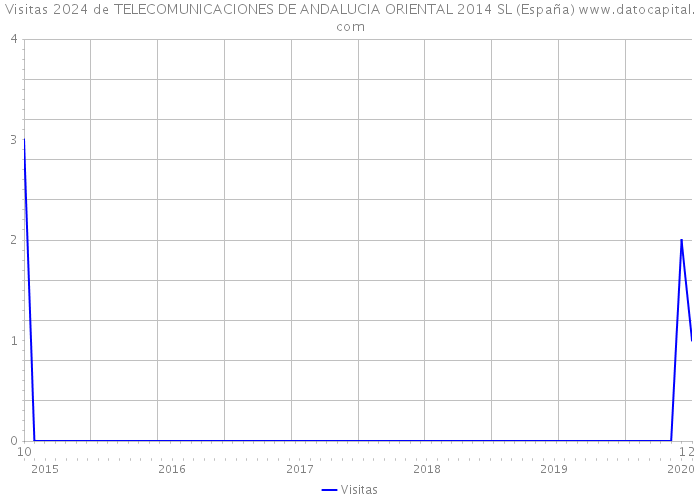 Visitas 2024 de TELECOMUNICACIONES DE ANDALUCIA ORIENTAL 2014 SL (España) 