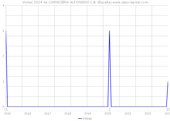 Visitas 2024 de CARNICERIA ALFONSINO C.B. (España) 
