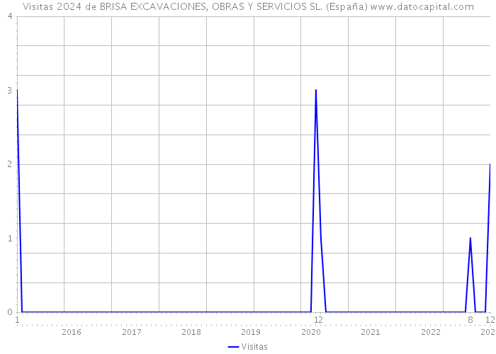 Visitas 2024 de BRISA EXCAVACIONES, OBRAS Y SERVICIOS SL. (España) 