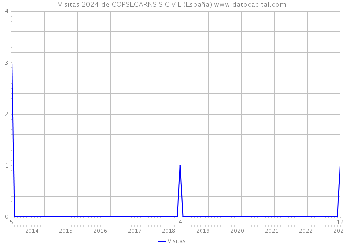 Visitas 2024 de COPSECARNS S C V L (España) 