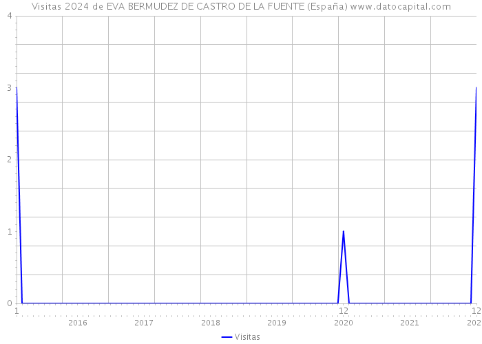 Visitas 2024 de EVA BERMUDEZ DE CASTRO DE LA FUENTE (España) 