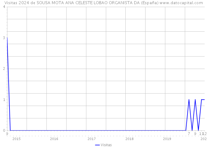 Visitas 2024 de SOUSA MOTA ANA CELESTE LOBAO ORGANISTA DA (España) 