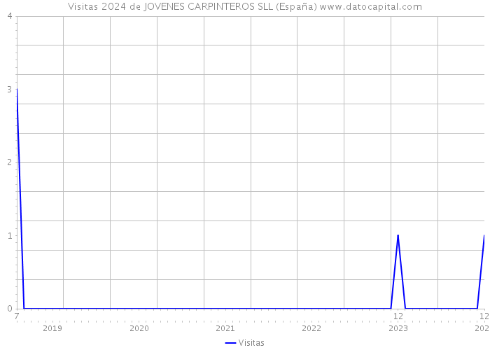 Visitas 2024 de JOVENES CARPINTEROS SLL (España) 