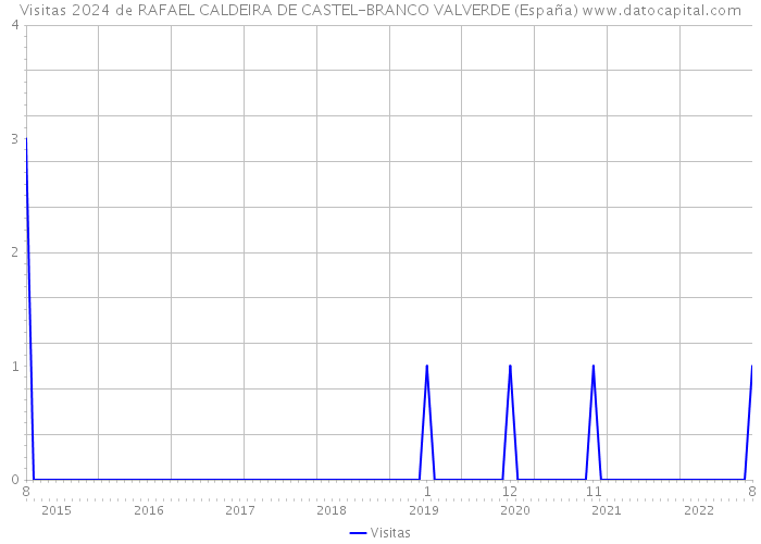 Visitas 2024 de RAFAEL CALDEIRA DE CASTEL-BRANCO VALVERDE (España) 